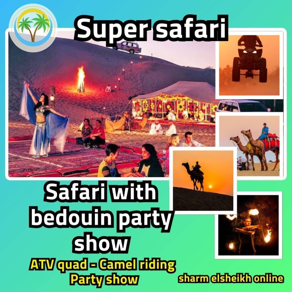 Safari with bedouin party show