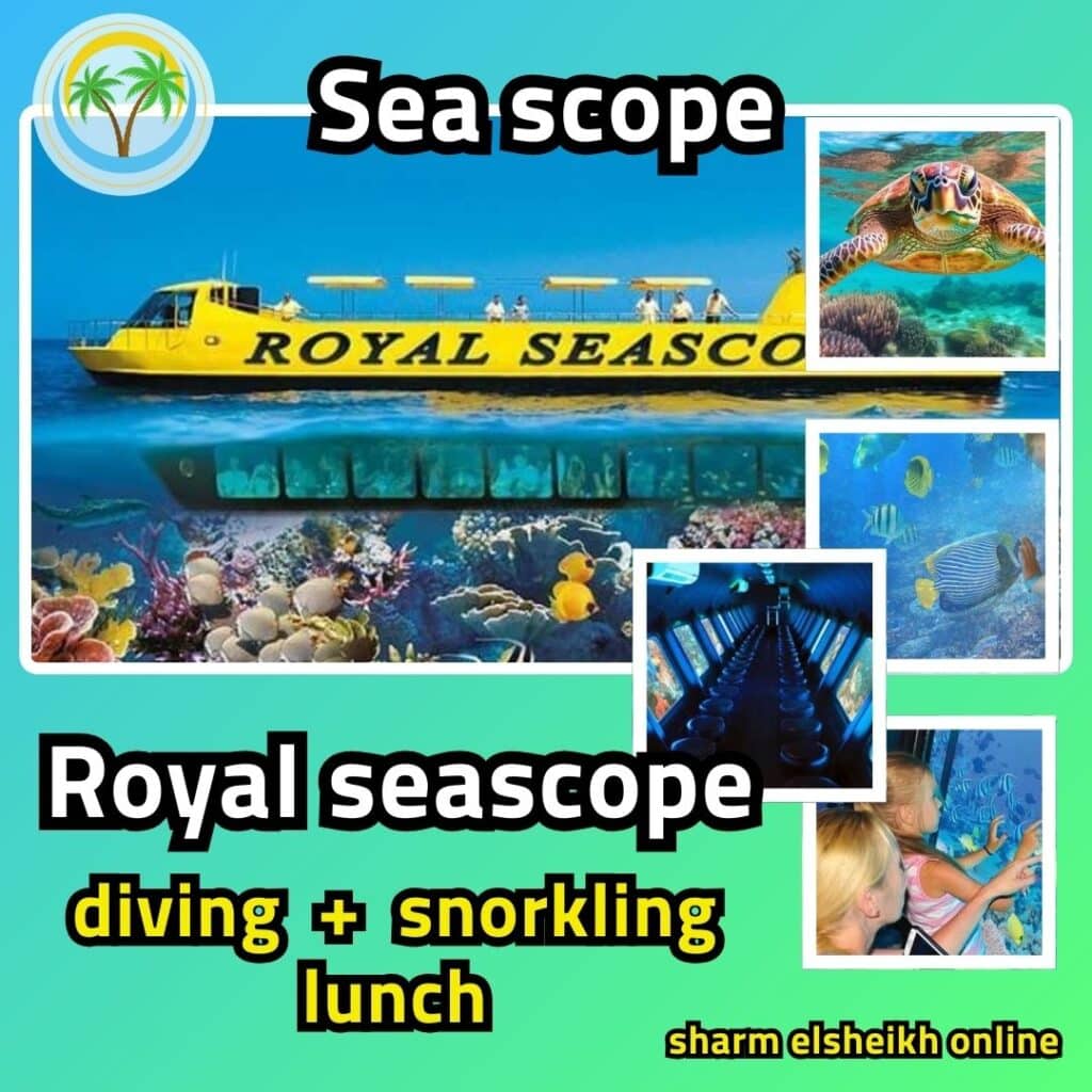 Semi Submarine & Royal Sea Scope In Sharm El Sheikh