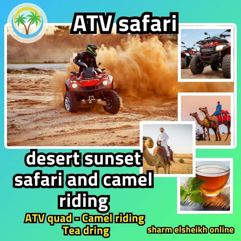 desert sunset safari and camel riding